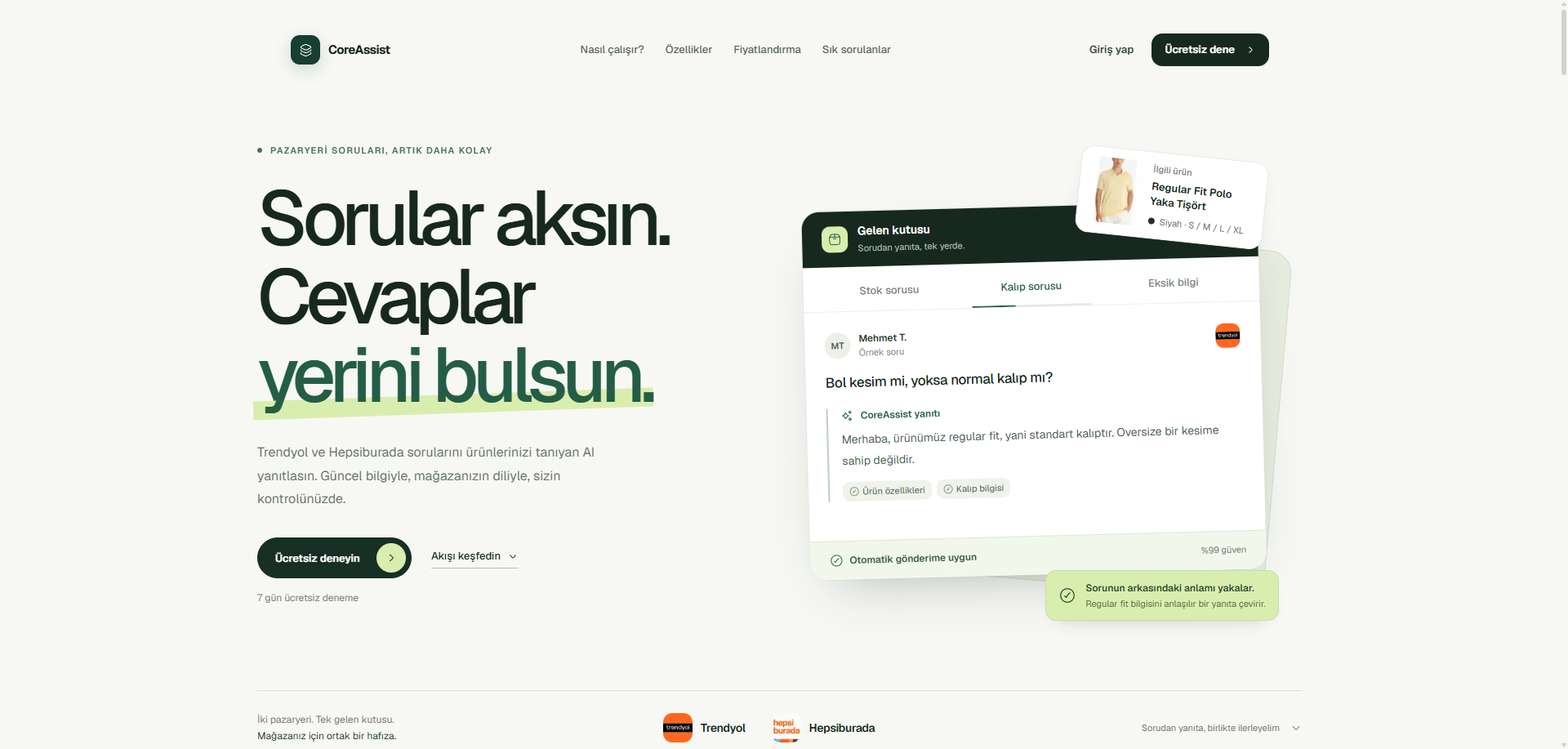 CoreAsistan tanıtım ve soru yanıtlama ekranı